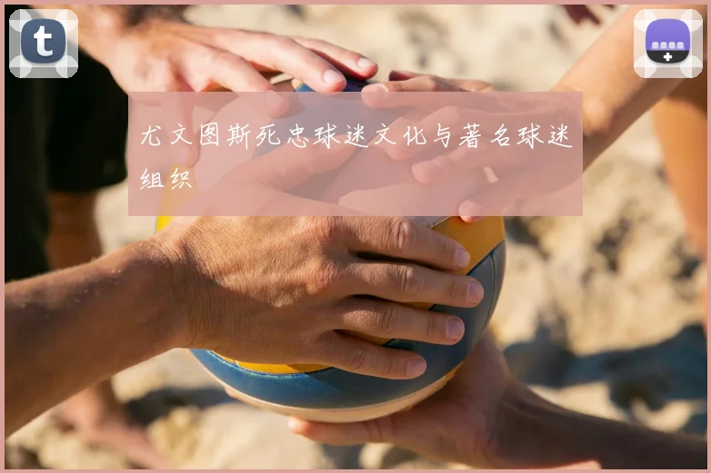 尤文图斯死忠球迷文化与著名球迷组织