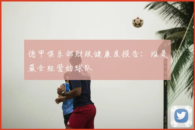 德甲俱乐部财政健康度报告:谁是最会经营的球队